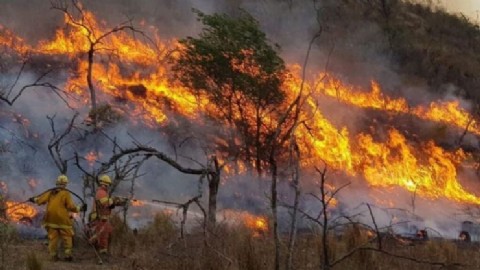 Continúan los incendios en Neuquén, Río Negro y Chubut