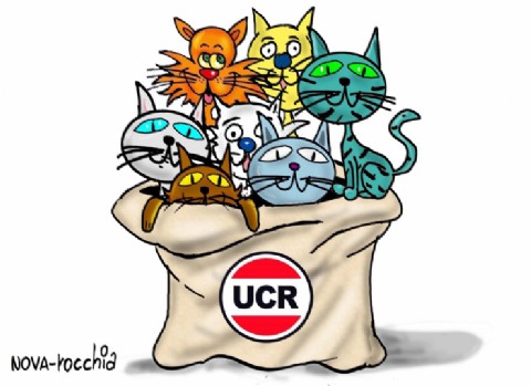 La UCR de Roca niega tener un puntero entre sus filas, tras el ataque a Nicolás Suárez Colman