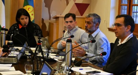 Carreras propuso la tarifa residente en Bariloche, pero los concejales de Juntos Somos Río Negro le frenaron el carro