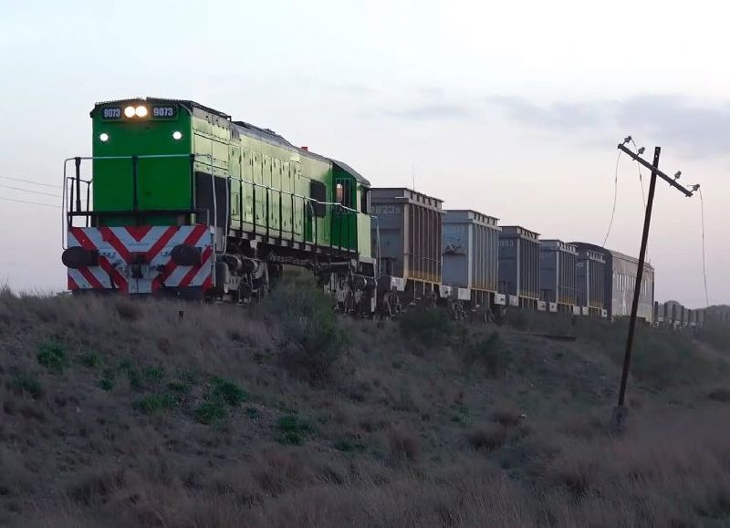 El Tren Patagónico suspende temporalmente sus servicios de carga