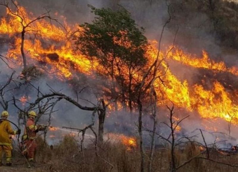 Continúan los incendios en Neuquén, Río Negro y Chubut