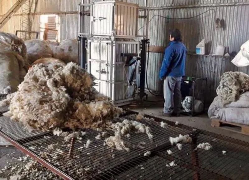 Río Negro entre las provincias que lograron precios récord al vender de manera conjunta lana mohair