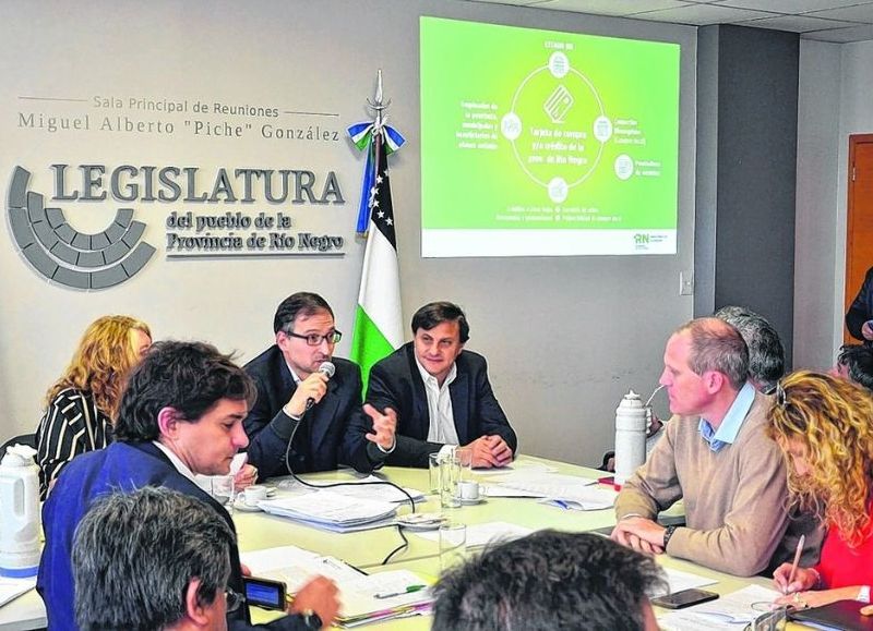 Amplían la denuncia contra funcionarios provinciales por irregularidades en el programa Río Negro Compras