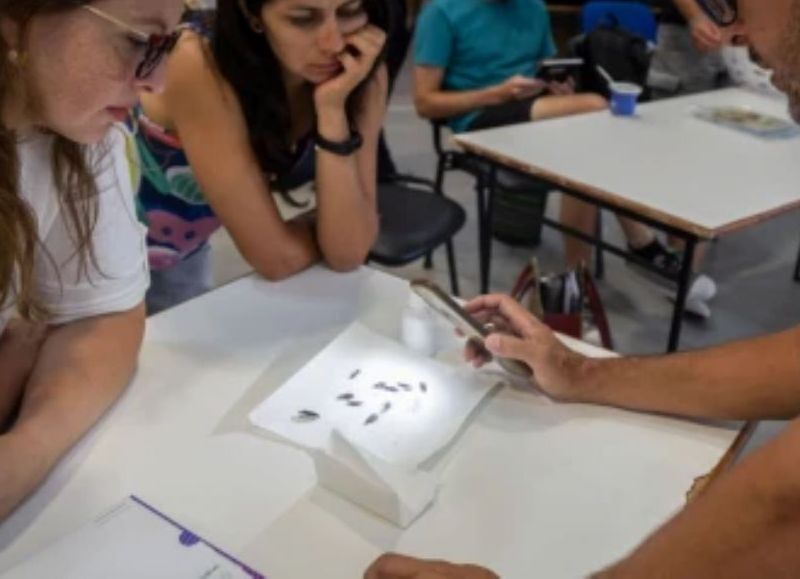Cómo se vigila en la provincia si hay insectos asociados a la enfermedad de Chagas