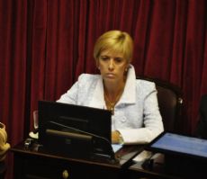 "El Cerro Catedral representa nuestra ciudad e historia", remarc� la senadora.