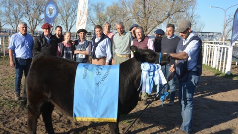 Weretilneck destacó importantes medidas para el sector agropecuario