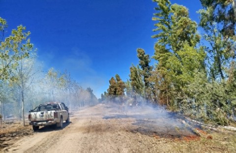 VIDEO | La Provincia advirtió por riesgo de incendios en Bariloche y confirmó que el foco de Monte Bagual fue controlado
