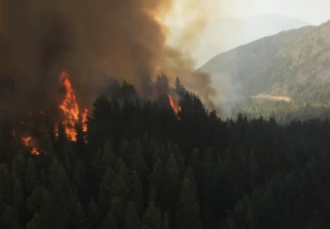 VIDEO | El Splif controló un nuevo foco de incendio en El Bolsón y avanza la asistencia a los damnificados
