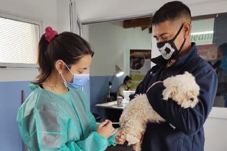 Continúan las jornada de salud pública veterinaria en barrios de Viedma