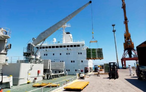 Las cámaras futícolas reclaman medidas para la crisis que estraviesa el sector