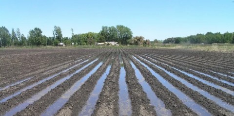 Se le exige al Gobierno 5 años de prescripción para "deudas por riego"