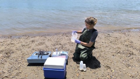 Suman balnearios marítimos al programa de monitoreo de calidad de agua