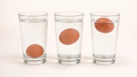 Salud recuerda medidas para prevenir la Salmonella