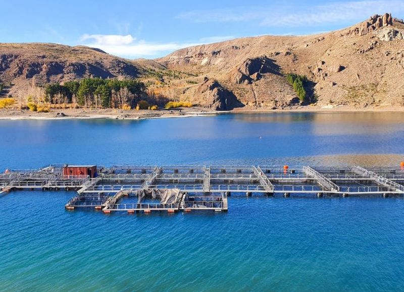 Trabajo conjunto con Neuquén y Río Negro para potenciar la acuicultura
