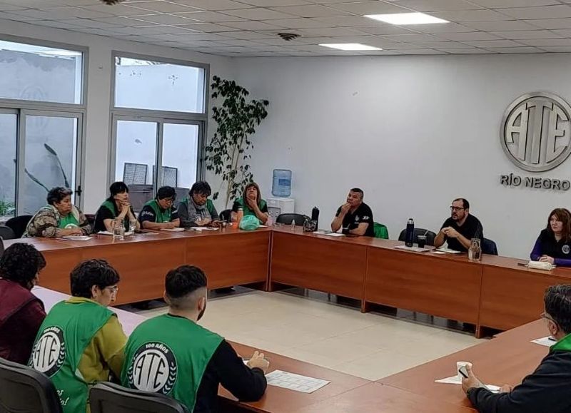 ATE aceptó “a la fuerza” la oferta salarial y denuncia que el Gobierno ignora la seguridad en los hospitales
