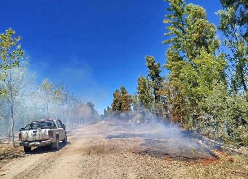 VIDEO | La Provincia advirtió por riesgo de incendios en Bariloche y confirmó que el foco de Monte Bagual fue controlado