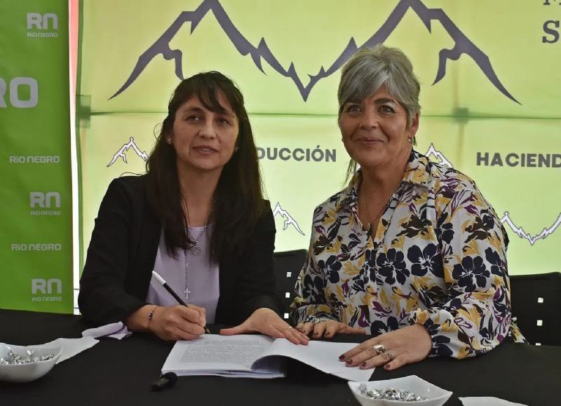 Localidades de la Región Sur contarán con gasistas domiciliarios