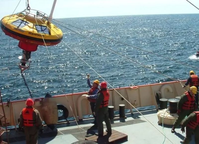 Arrancó la expedición del CONICET en Chubut y Río Negro: las especies que encontraron en los cañones submarinos