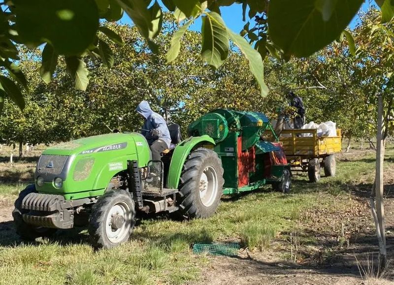 Provincia y el CFI lanzan un programa de renovación de maquinarias