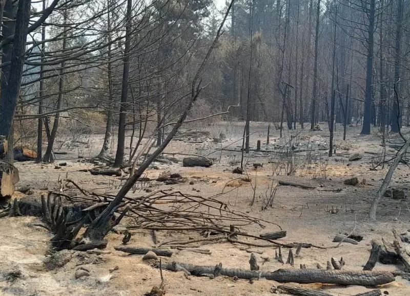 Río Negro declaró la Emergencia Ígnea por riesgo extremo de incendios