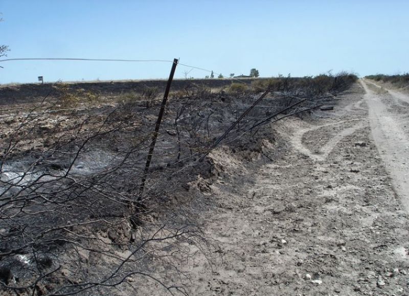 El Gobierno evaluar la emergencia agropecuaria en la Provincia